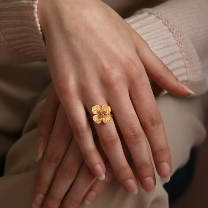 Bague Providence