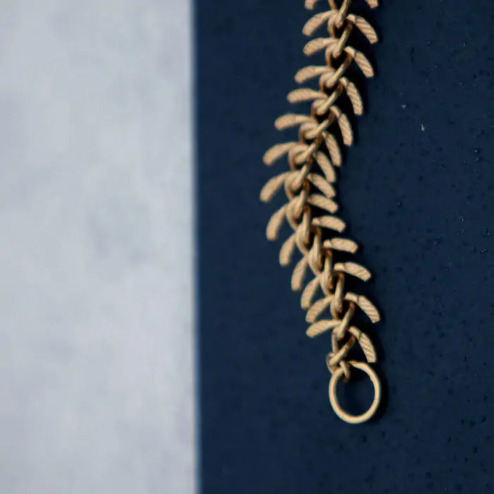 Bracelet Python
